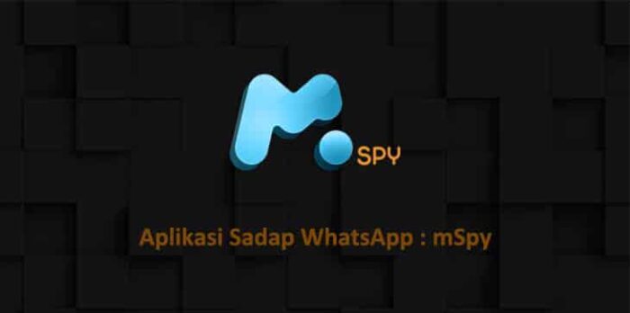 Mengenal MSPY Sebagai Aplikasi Sadap WhatsApp