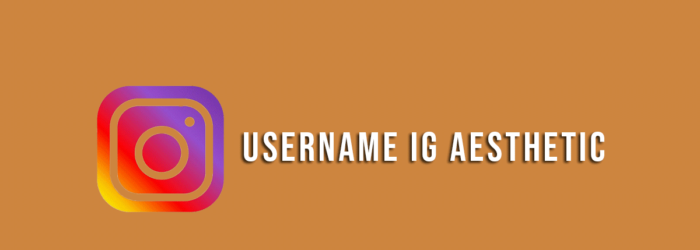 Syarat Dan Ketentuan Username Atau Nama IG