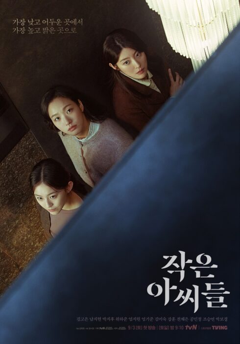 2. Little Woman (tvN)