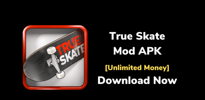 Cara Download True Skate Mod Apk