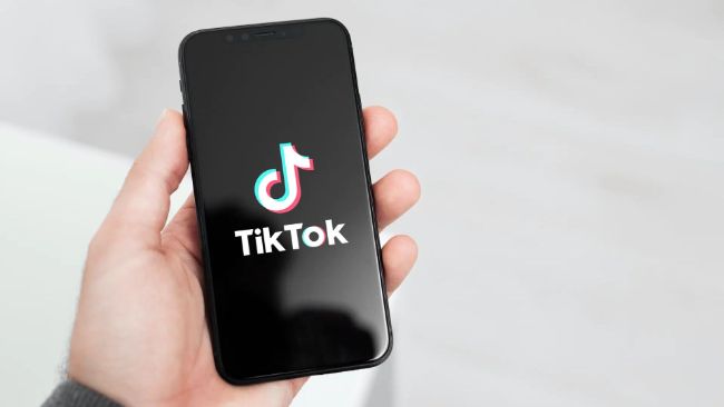Cara Download Video TikTok Tanpa Watermark All Device, Gratis dan Mudah