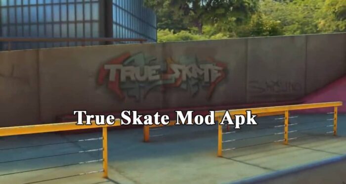 Cara Menginstall True Skate Mod Apk