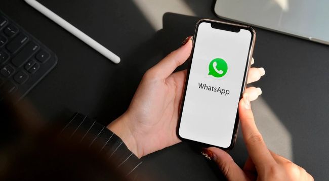 Download WhatsApp Plus Terbaru 2022