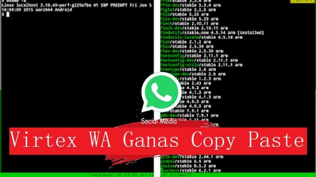 Review Tentang Virtex WA (Virus Text Whatsapp)